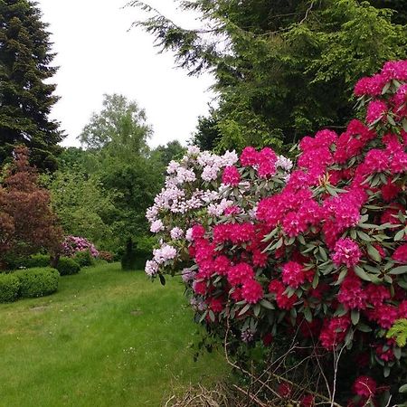 וורפסוודה Ferienwohnung Gartenblick מראה חיצוני תמונה
