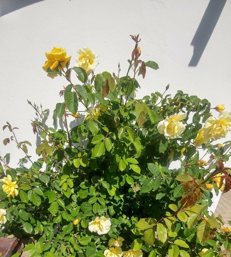 וורפסוודה Ferienwohnung Gartenblick מראה חיצוני תמונה
